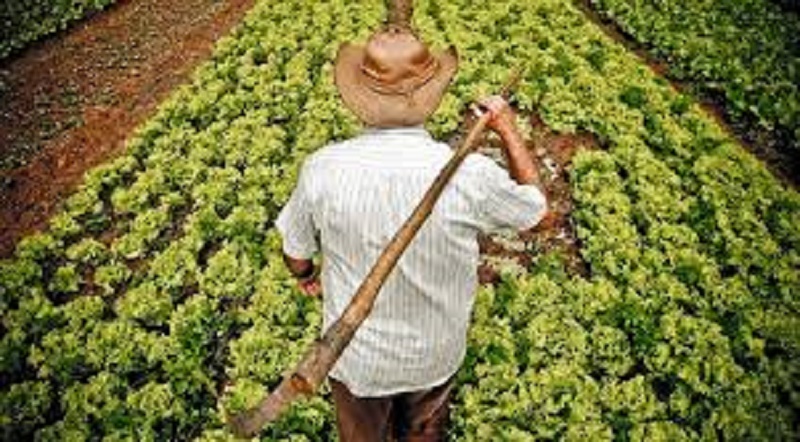 Conab investe quase R$ 200 milhões no apoio à agricultura familiar