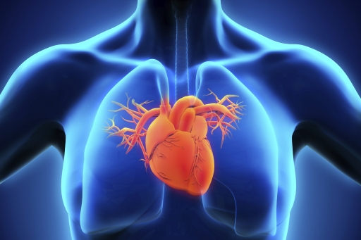 Saúde inicia mutirão para exames de ecocardiograma