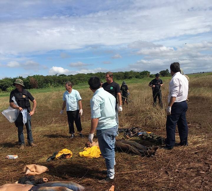 Seis mortos de quadrilha que agiram em Cruzália são identificados