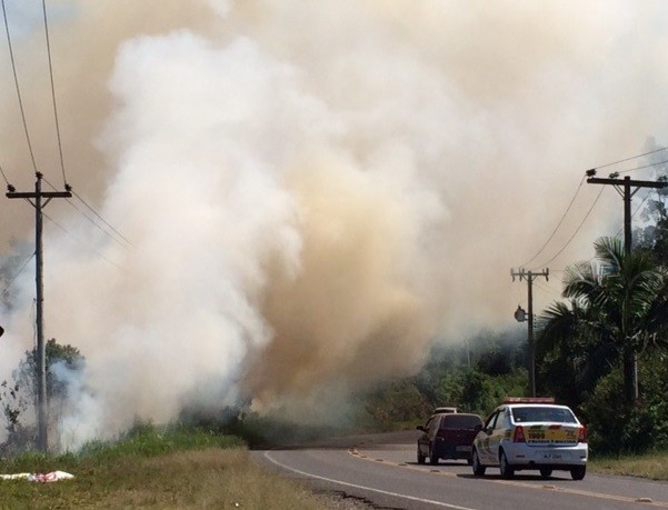 Bombeiros trabalham para conter incêndio entre Assis e Echaporã