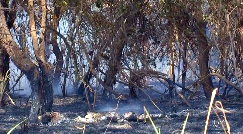 Incêndio de quase 24 horas destrói parte de reserva ambiental em Echaporã