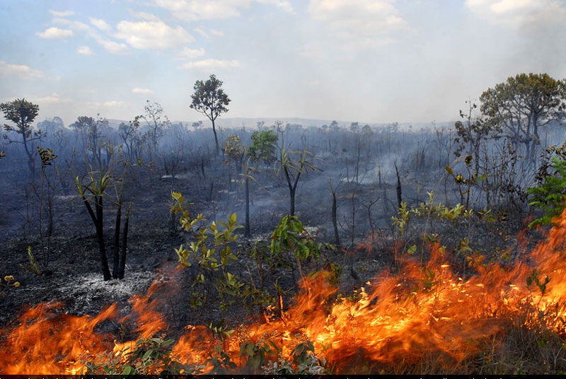 Recorde de queimadas em setembro causa danos incalculáveis