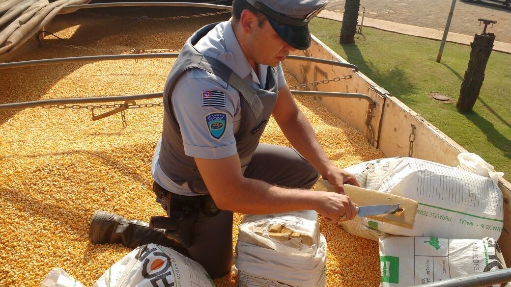 CARGA PESADA: Polícia apreende quase duas toneladas de maconha