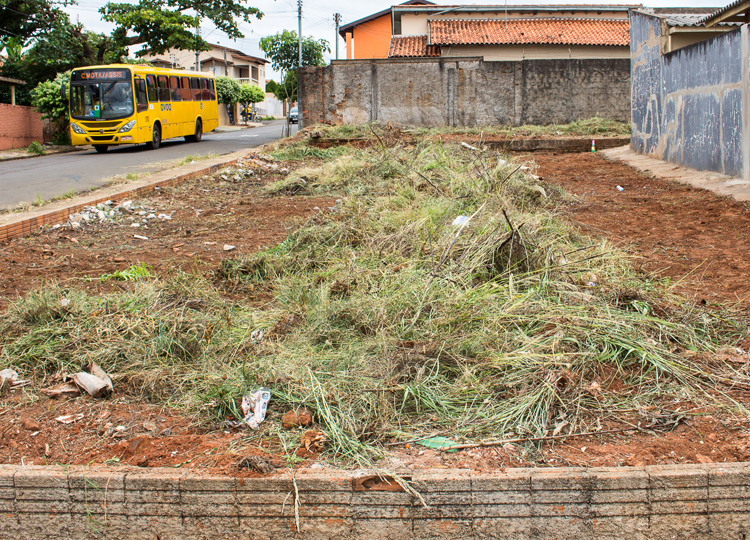 Prefeitura obriga proprietários de lotes a manterem as áreas limpas