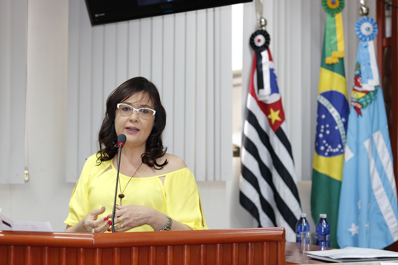 Professora Dedé solicita construção de passeio público na Av. Davi Passarinho