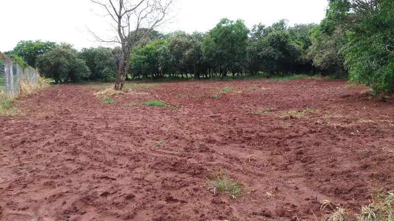 Polícia Militar Ambiental constata degradação ambiental em Assis