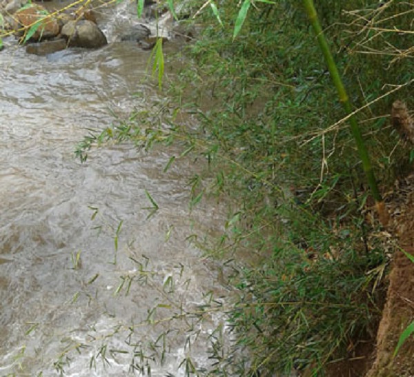 Adolescente morre afogado na Lagoa Azul, em Assis
