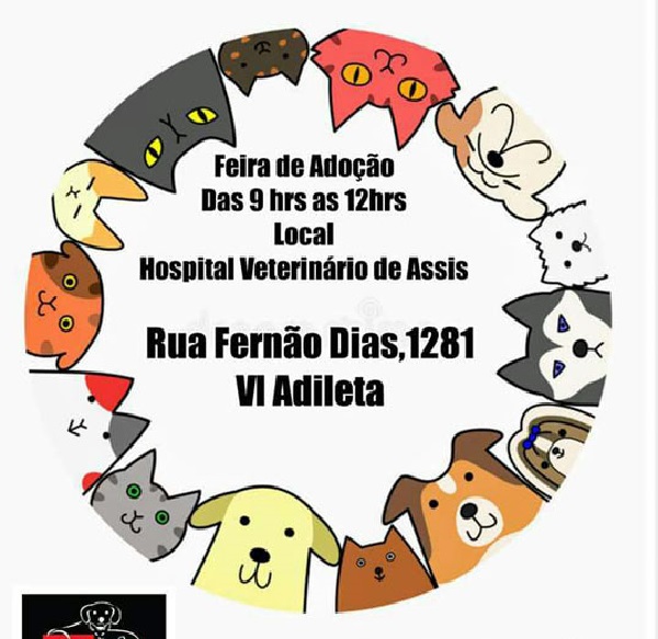 Sábado, 17, tem feira de adoção de animais em Assis