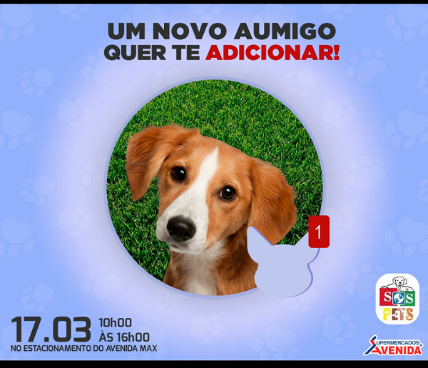 SOS Pet realiza feira de adoção no sábado, 17 de março