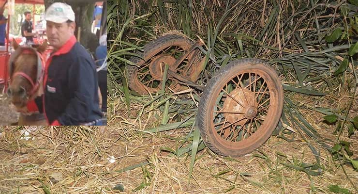 Casal em carroça morre após trombar com carro na rodovia Paraguaçu/Conceição