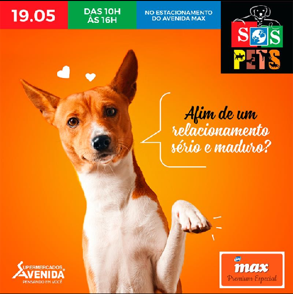 SOS Pets promove mais uma feira de animais