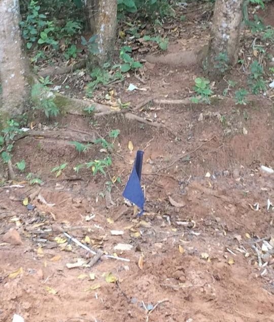 Homem é encontrado em mata de Assis