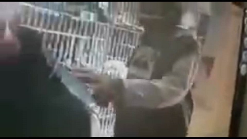 Assaltante invade petshop à luz do dia e é filmado, em Assis