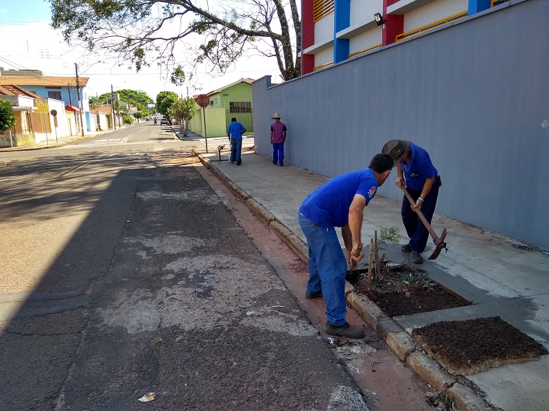 Meio Ambiente inicia instalação de Floresta Urbana