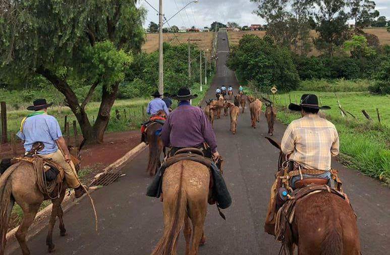 Romaria de cavaleiros de Assis chega de Aparecida nesta quinta-feira