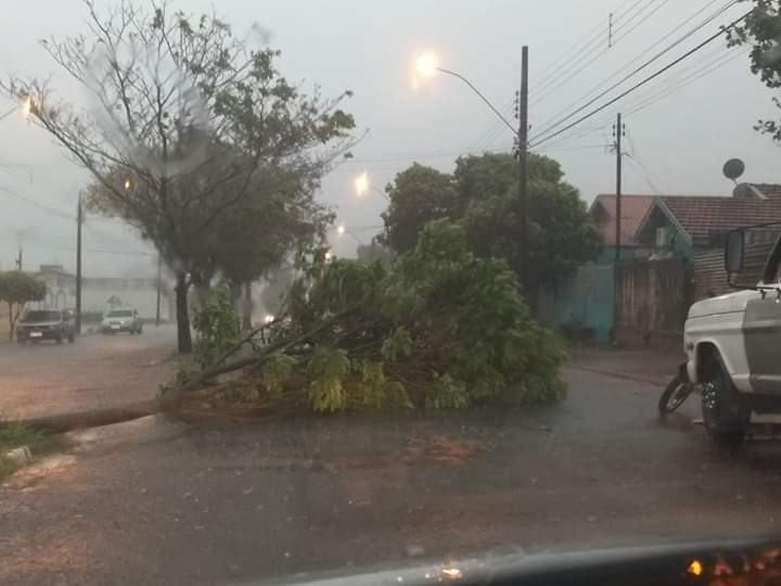 Vendaval causa estragos e deixa moradores às escuras em Assis e região