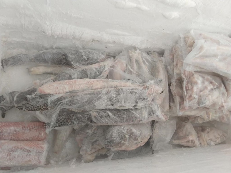 Polícia constata comércio sem declaração de estoque de pescado em Assis