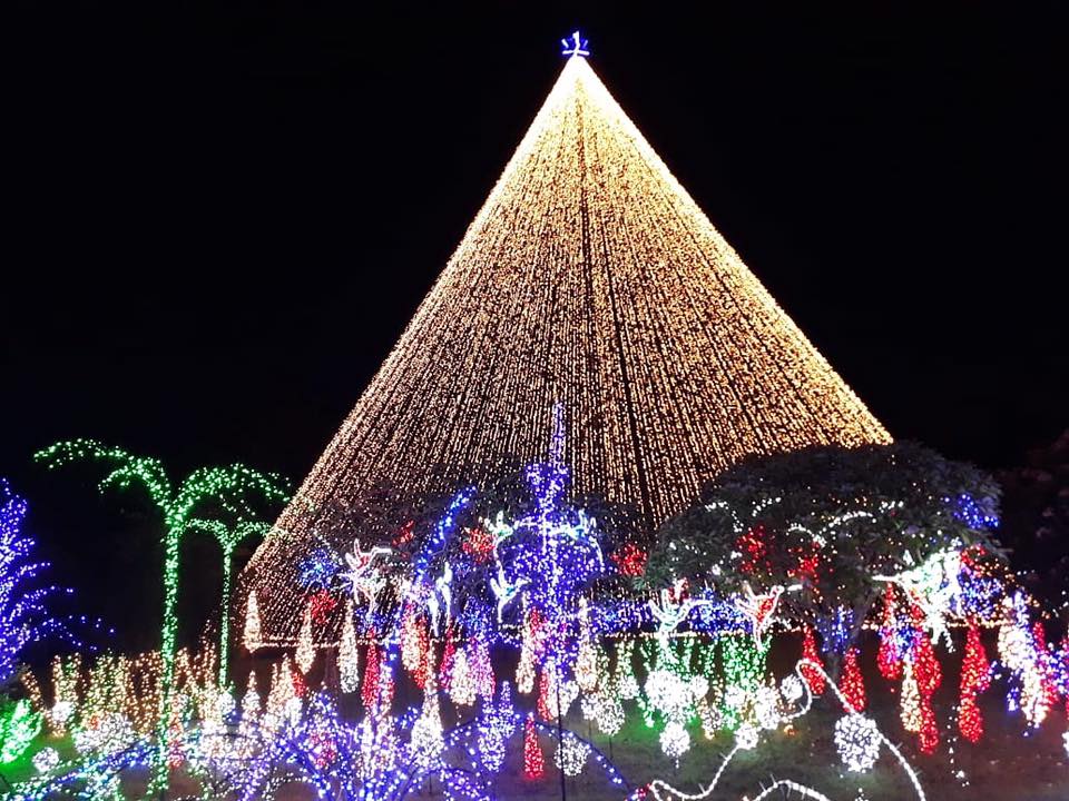 Natal 2018 tem jardim encantado na Casa Di Conti