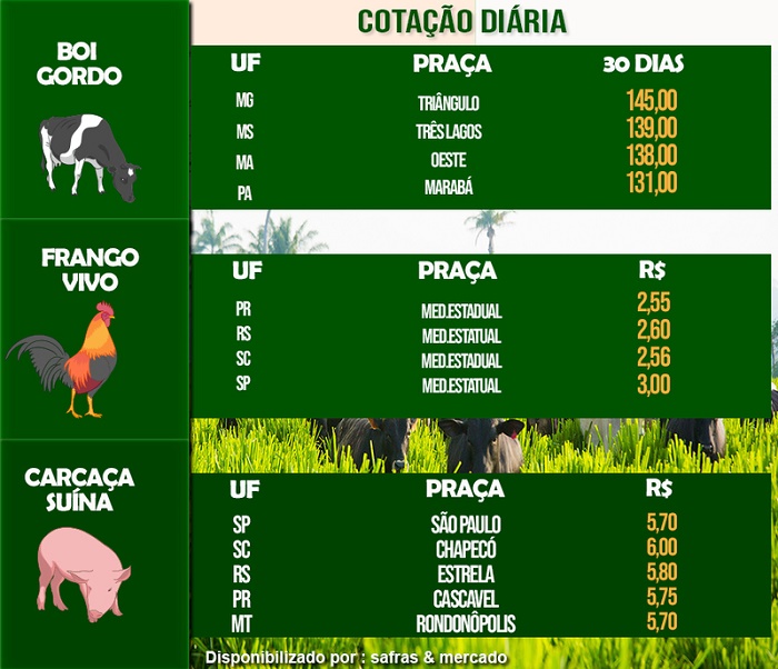 Frango tem queda no preço; carcaça suína sofre alta