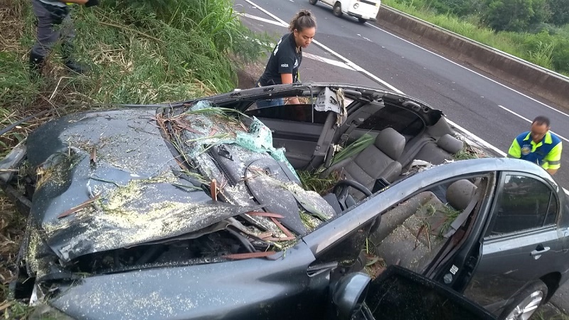 Homem morre após carro colidir com cavalo na SP-294, em Marília