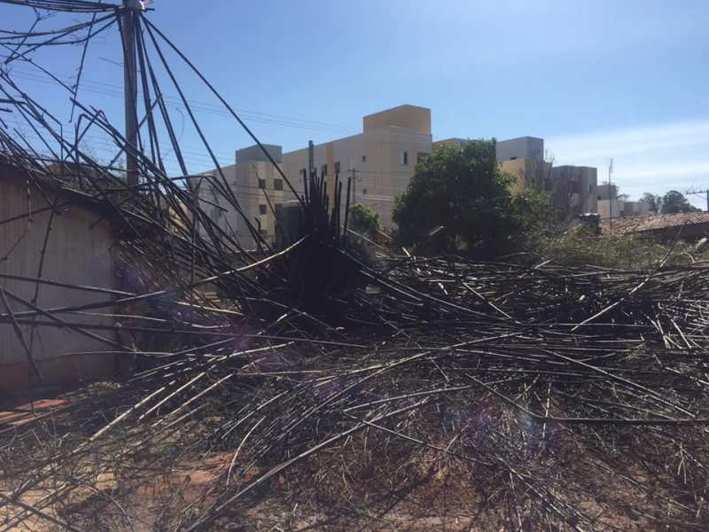 Bambuzal pega fogo aos fundos do Lar dos Velhos de Assis