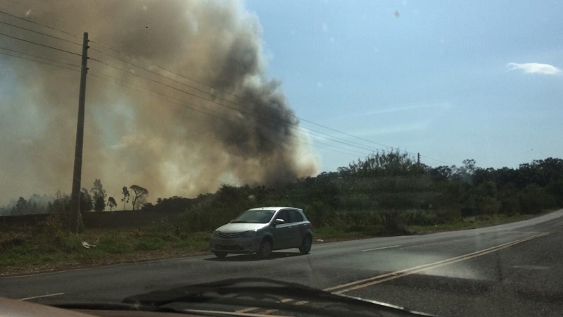 Incêndio de grande proporção atinge área perto da Usina de Lixo de Assis