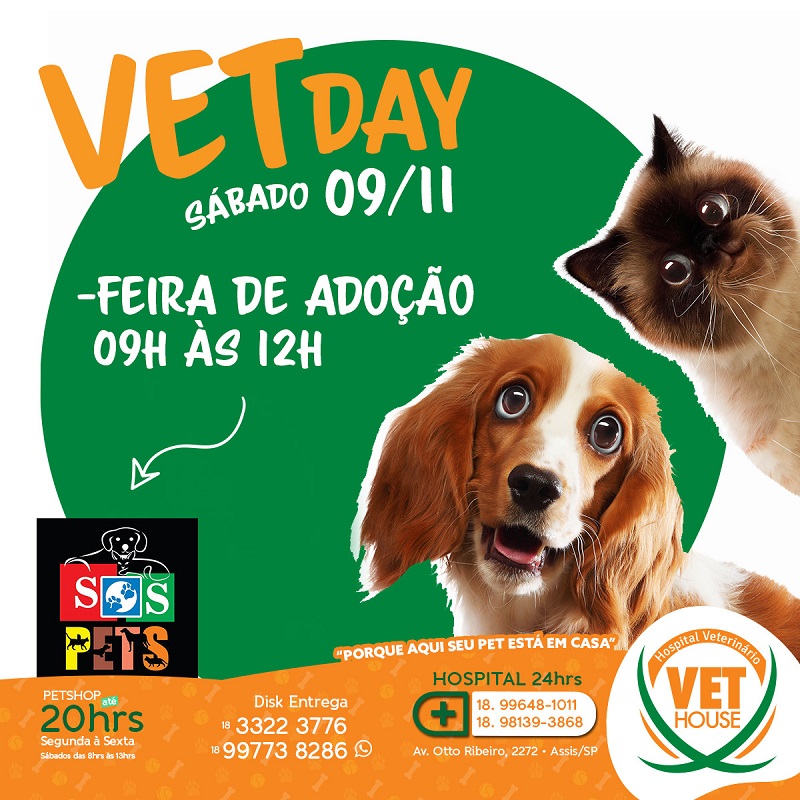 Sábado (09) tem feira de adoção de animais abandonados em Assis