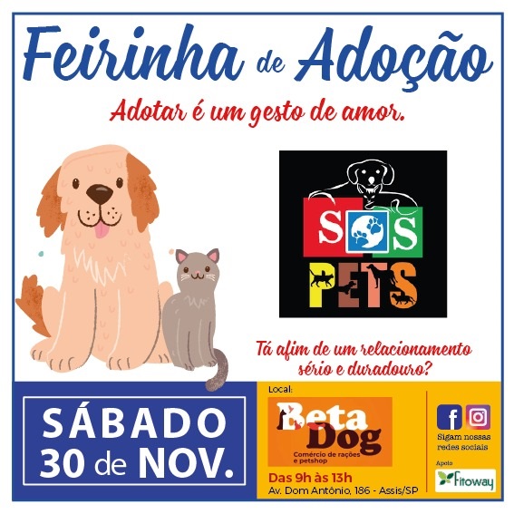 'SOS Pets Assis' promove feira de adoção no sábado (30)