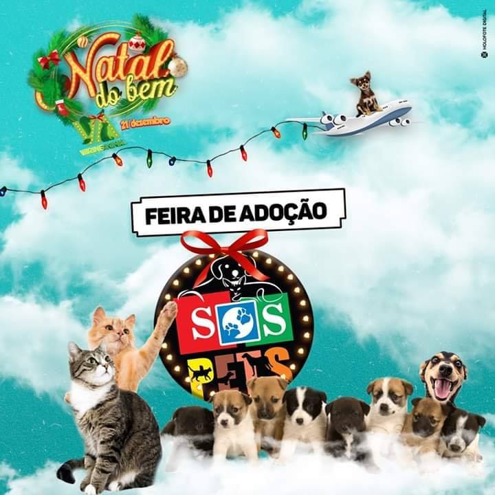 Sábado tem feira de adoção de animais em Assis