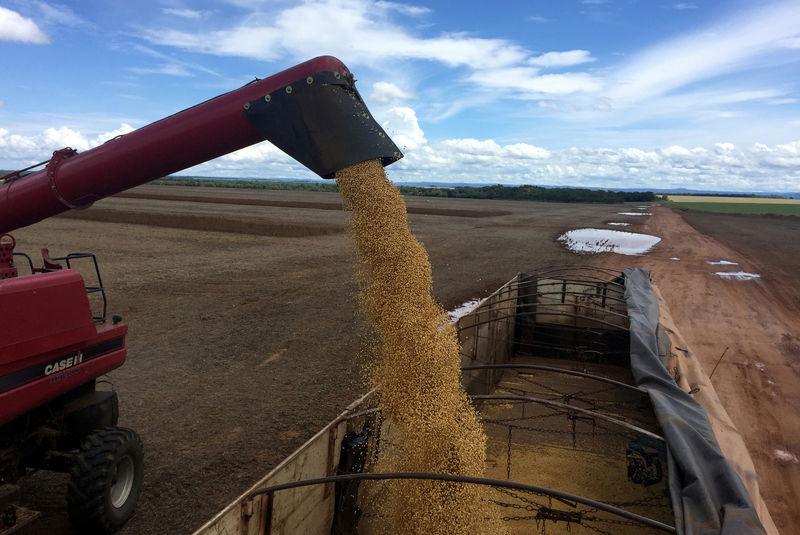 Transportadora de grãos registra furto de 82 toneladas de soja