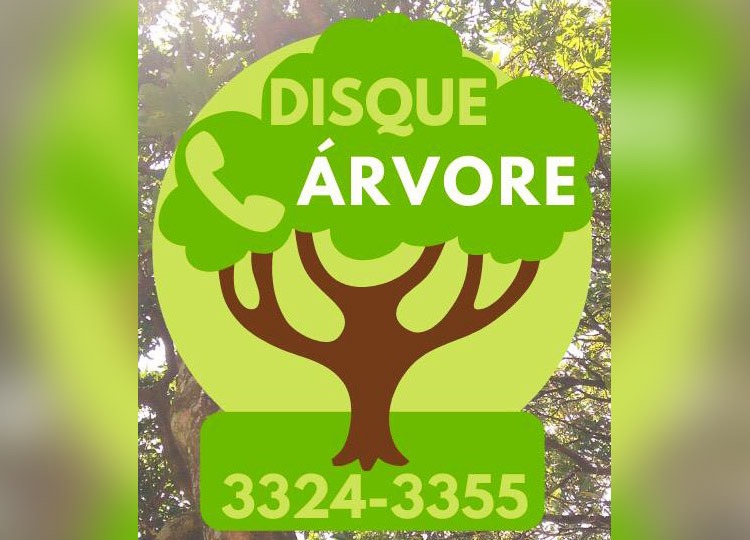 Prefeitura de Assis lança Disque Árvore