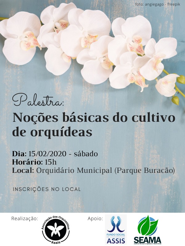 Sábado tem curso sobre cultivo de orquídeas em Assis