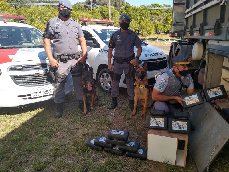 Com apoio de cães, policiamento rodoviário apreende 33 tabletes de cocaína