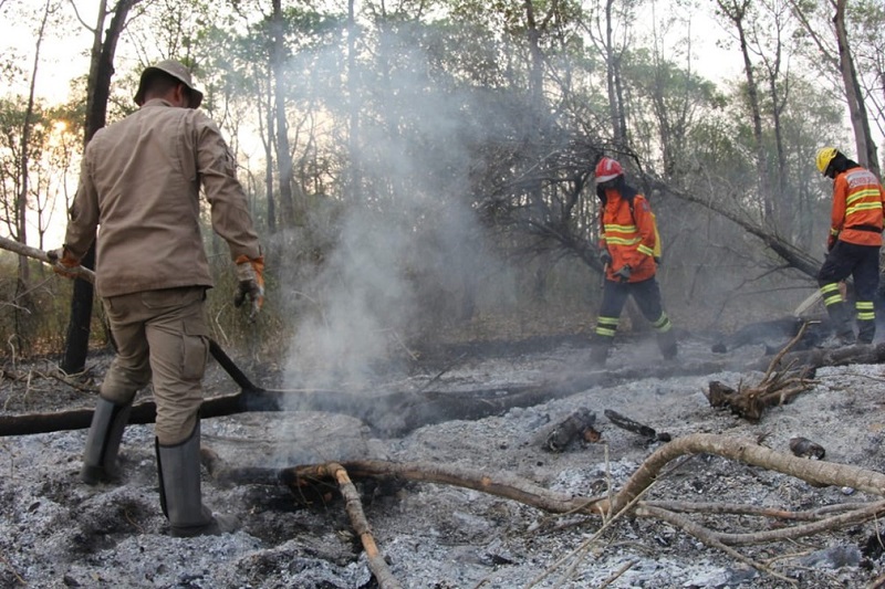 Chuva e força-tarefa ajudam a reduzir focos de incêndio no Pantanal