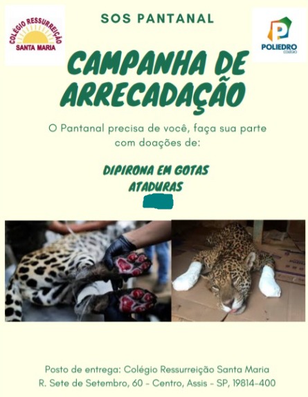 Assis: Colégio Ressurreição Santa Maria lança campanha em prol dos animas do Pantanal