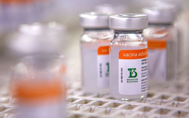 Por engano, 28 crianças recebem vacina contra Covid no lugar de dose contra a gripe em Itirapina