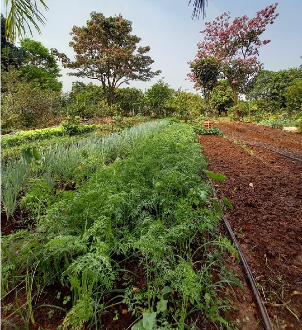 Produtores de Assis e região aderem ao Protocolo de Transição Agroecológico do Estado de São Paulo