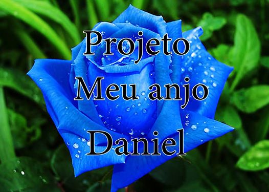 Família da fundadora do projeto ‘Meu Anjo Daniel’ precisa de ajuda