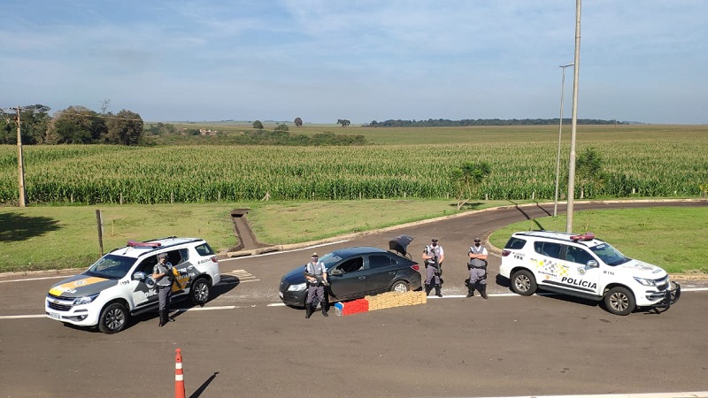 Polícia apreende mais de meia tonelada de maconha em ocorrências no mesmo lugar