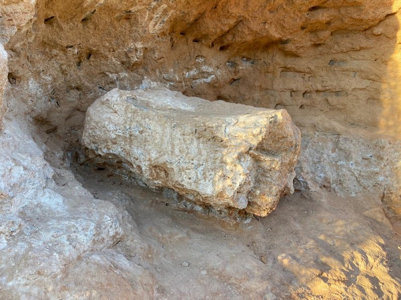 Descoberta de fóssil de dinossauro na área de Marília paralisa obras de duplicação de rodovia
