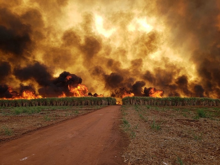 Bombeiros usam helicóptero no combate ao incêndio na zona rural de Palmital