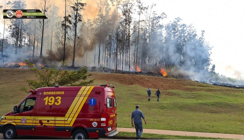 Avião cai em área de mata e sete pessoas morrem em Piracicaba