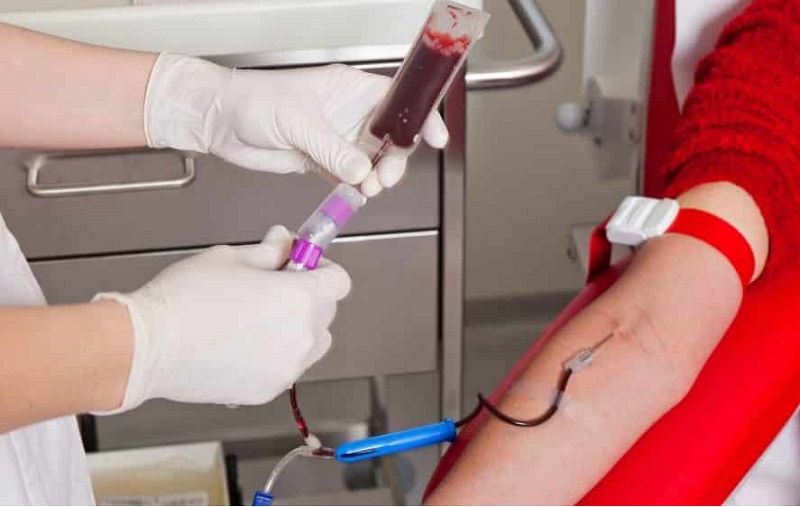 Dia Mundial do Doador de Sangue: Entenda por que esse ato é tão importante