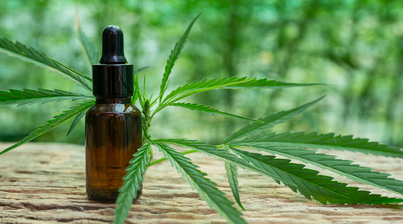 Agosto Laranja: Esclerose Múltipla pode ser amenizada com Cannabis Medicinal