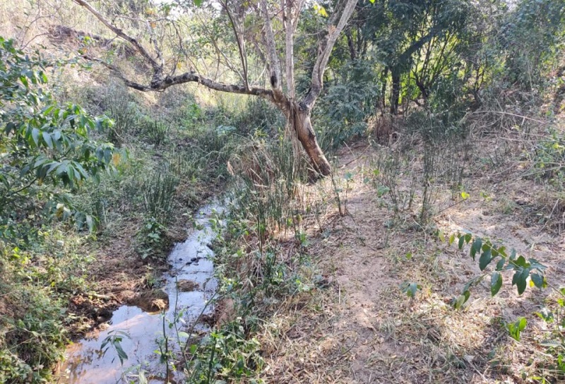 Fazendeiro de Avencas é multado em R$ 1,6 milhão pela PM Ambiental