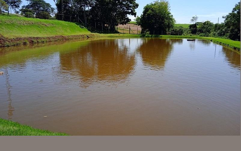 Ladrões furtam meia tonelada de peixes de propriedade rural em Tarumã