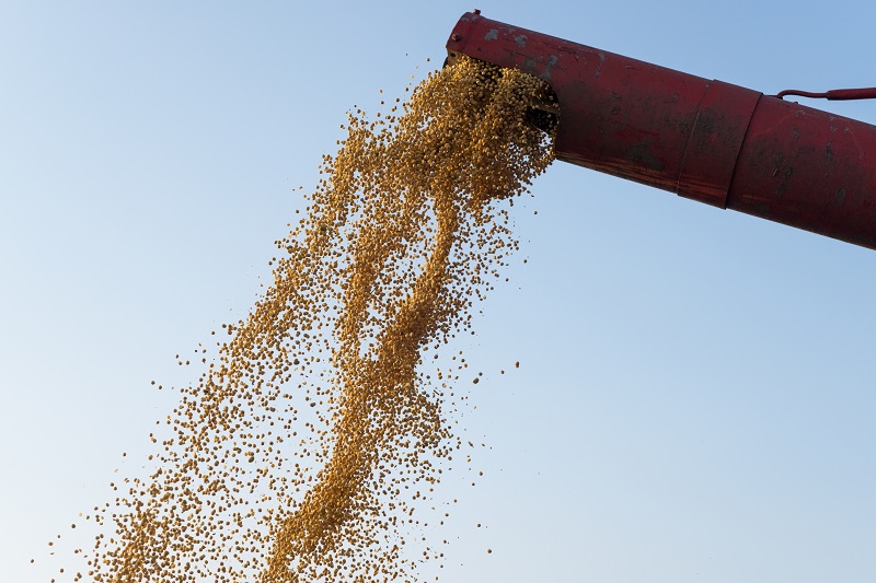 Mudança no imposto das empresas sementeiras pode baratear produção agrícola