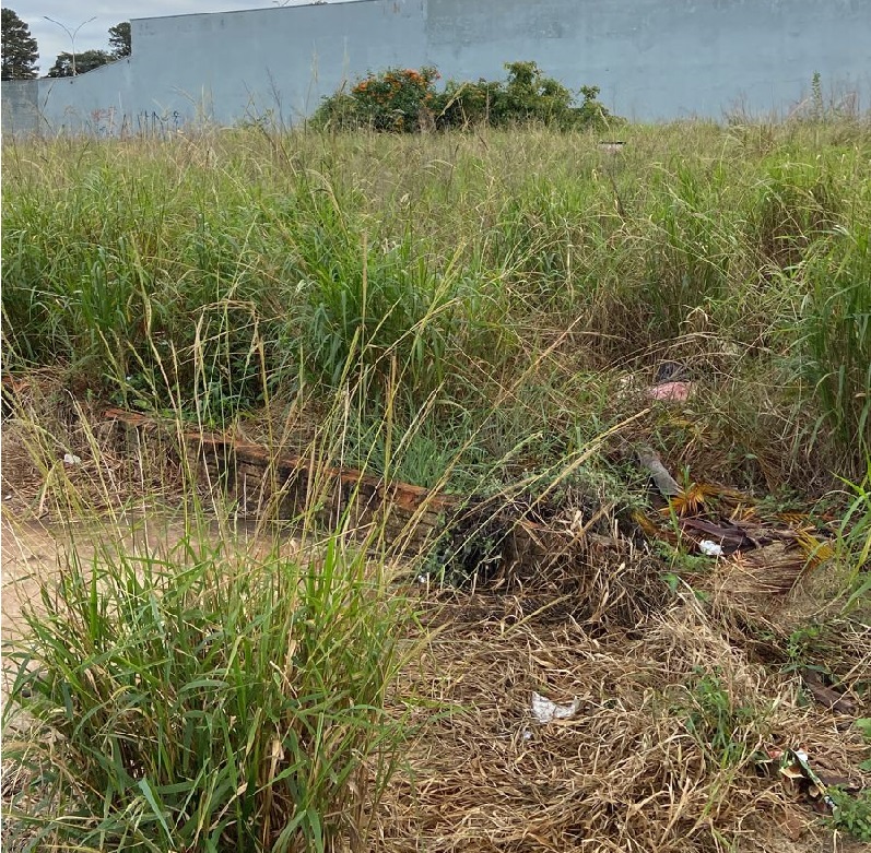 Moradores do bairro Tênis Clube reclamam de terreno baldio