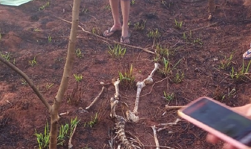 Esqueleto humano é achado no bairro Santa Clara