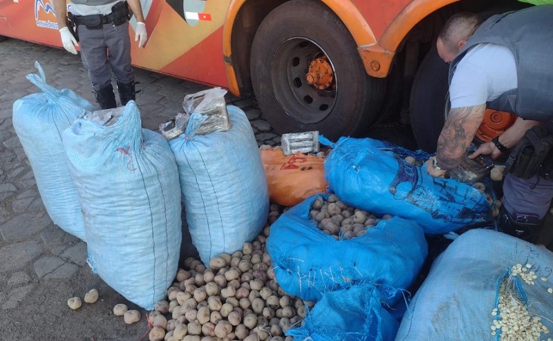 Mais de 21 quilos de cocaína eram transportado em meio a batatas